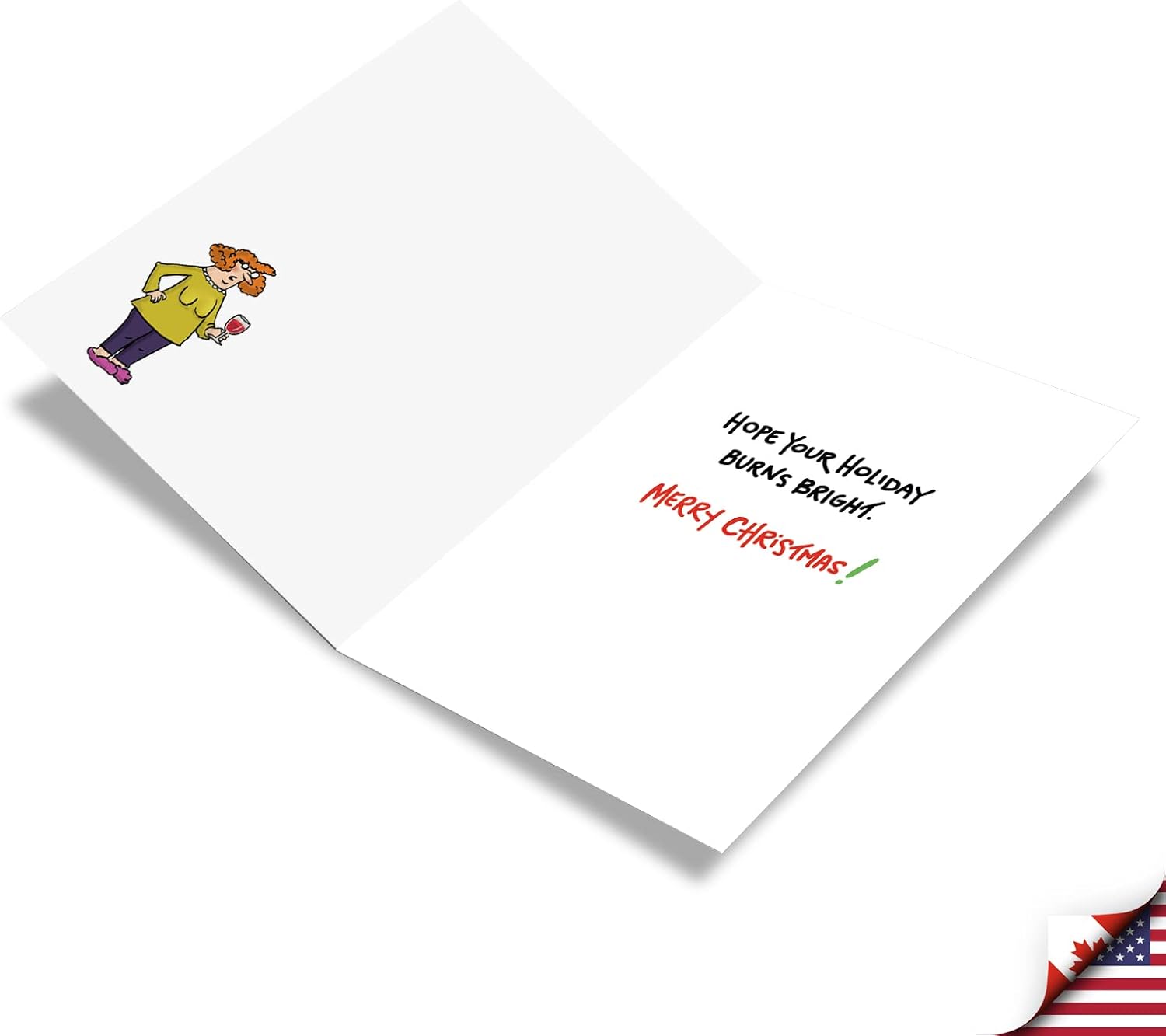 NobleWorks - Box of 12 Funny Christmas Cards - Hilarious Holiday Humor, Xmas Stationery Set with Envelopes (1 Design, 12 Cards) - Holiday Newsletter C3433XSG-B12x1