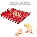 Eggs Incubator, 36 Eggs/144 Bird Eggs Plastic Flexible Convenient Practical for Chickens Ducks Birds Quail Bird Eggs Automatic Egg Turning Tray Tool Hatcher (110V)