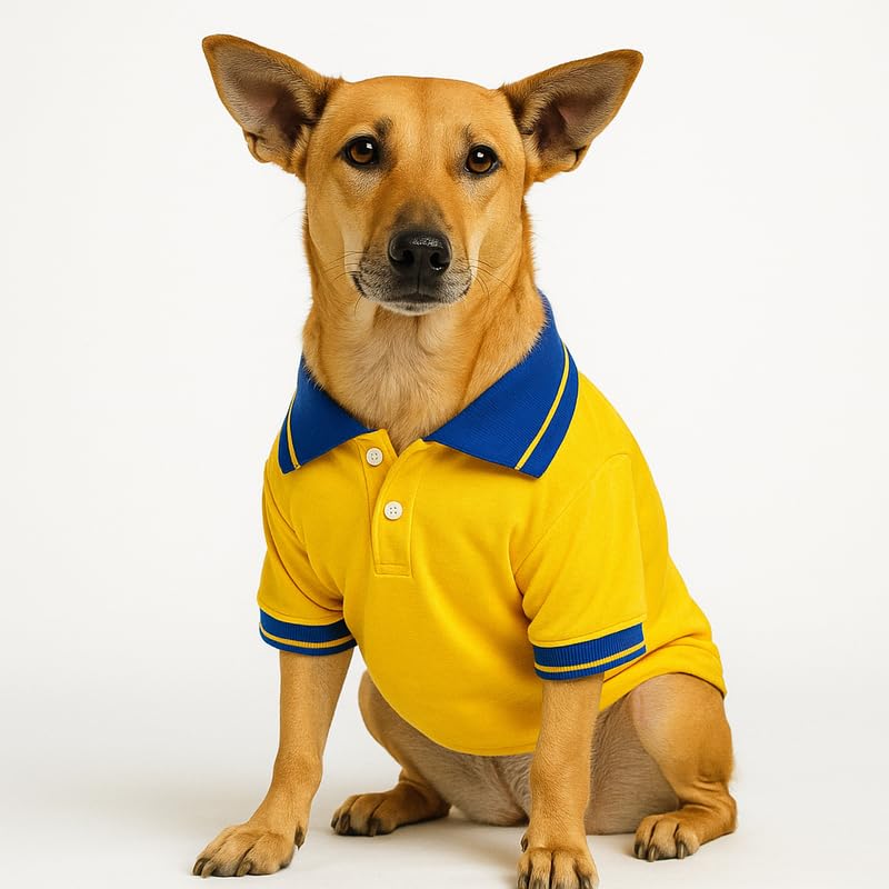 Image of Thunder Tails Premium Cotton Polo Dog T-Shirt | for Small Dogs & Puppies |Yellow-Royal| Large | for Pugs, Lhasa Apso, Poodle, Dachshund & Pomerian