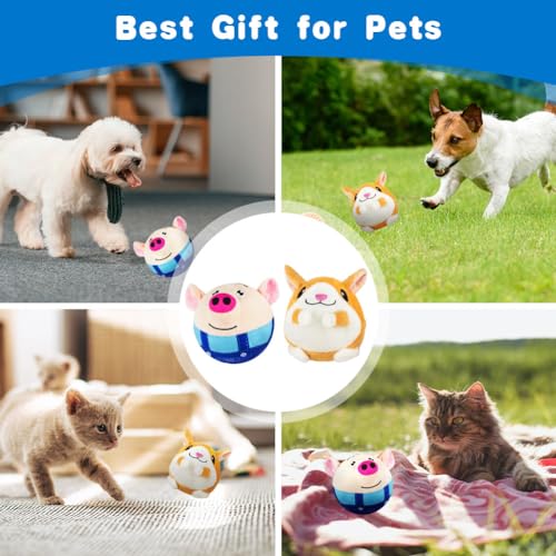Adiwo Interaktive Hundespielzeug, Aktives Bewegendes Hundespielzeug, Hundeball Elektrisch, Intelligentes Hundespielzeugs Ball, Selbstrollender Ball Hund, Blau + Hamster-Ballhüllen