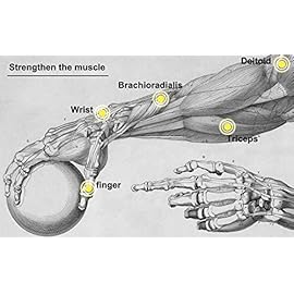 Parallel Halo Power Wrist Ball AUTO Start Gyro Ball with LED Lights Forearm Exerciser Wrist Strengthener for Strengthening Muscle and Bones (Blue+led)