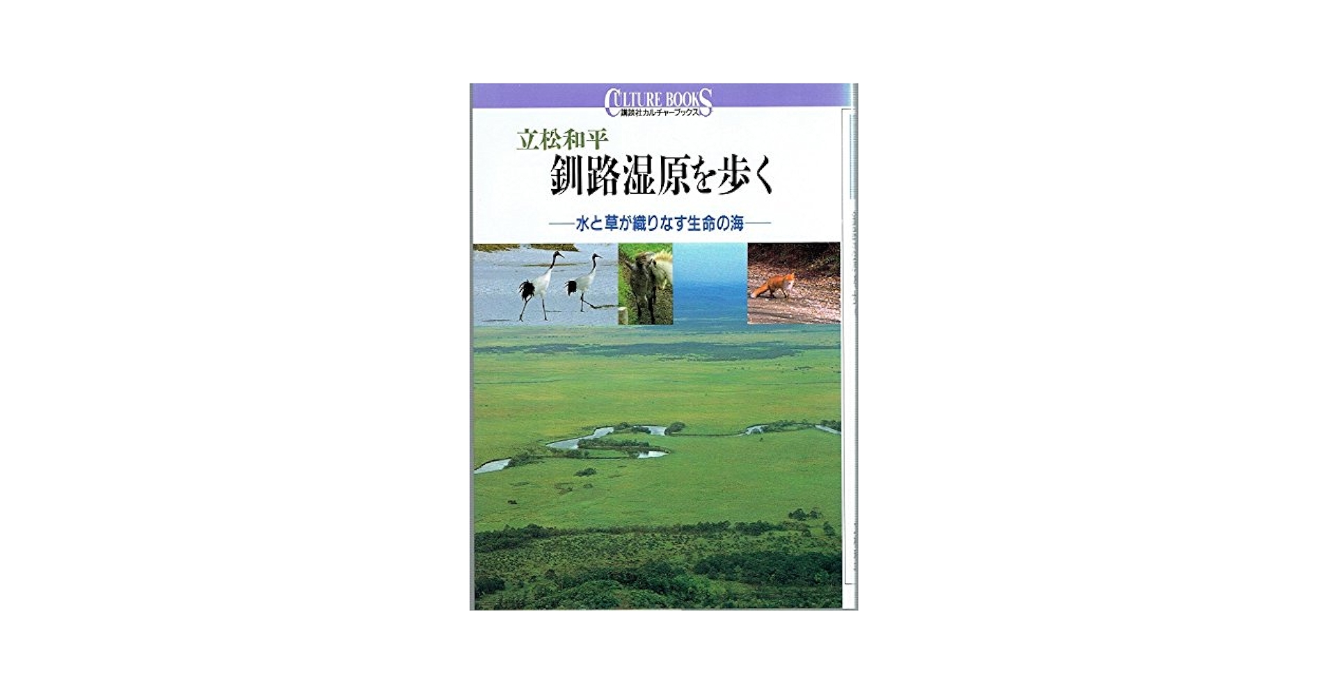 釧路湿原を歩く: 水と草が織りなす生命の海 (講談社カルチャー