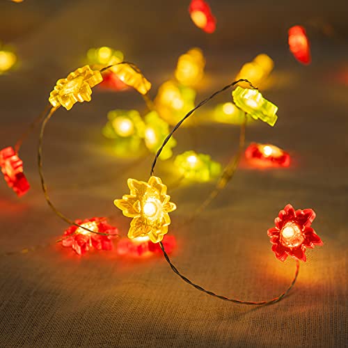 Bohon Thanksgiving Decorations Maple Leaves Fairy String Lights With Remote 10Ft 40Leds Battery Operated String Lights For Bedroom Fall Autumn Festival Halloween Thanksgiving Harvest Decor #TOP5