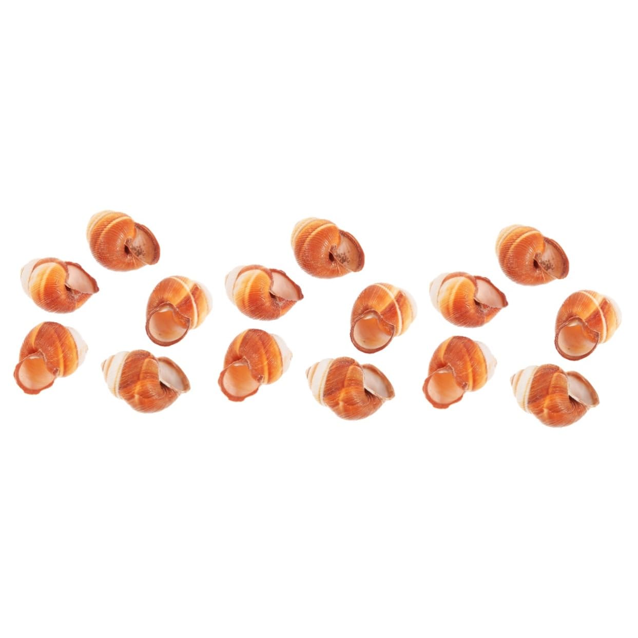 Yardwe 15 Pcs French snail shell Escargot shells Snail shells crab food french decor scallop shells for serving food baking scallop shells shells for escargot thick shells