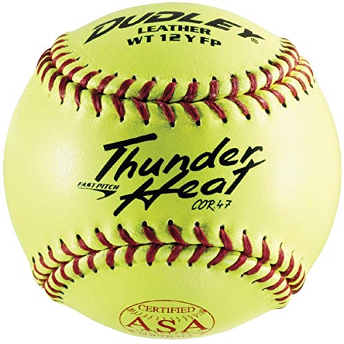 Dudley 012DU001 Usasb Thunder Heat Fastpitch Softball cover