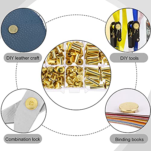 Pangda 80 Set Chicago Binding Post Screw Assorted Kit Metal Round Cross Head Stud Screw Post Nail Rivet Chicago Button For Diy Leather Decoration Bookbinding (Gold,5 X 6, 10, 12, 15, 18) #TOP1