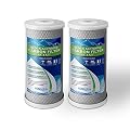 Big CTO Carbon Block Water Filters 4.5" x 10" Whole House Cartridges WELL-MATCHED with CBC Series, WFHDC8001, EP and EPM Series (2 Pack)
