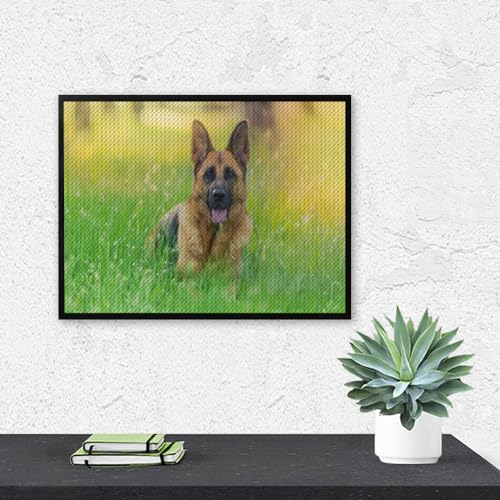MIDUNU Diy Crystal Embroidery Painting Sheepdog Full Drill Diamond Cross Stitch Painting Dog 5D Diamond Paint Kit For Home Wall(30X40 Cm)