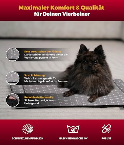 HS-Hundebett® Sommerdecke Baumwolle mit Füllung und Antirutsch XS (45x65 cm) – Gepolsterte Hundedecke für den Sommer – Waschbar & Langlebig – Leichte Hunde Sommerdecke – Anker Grau, Made in DE