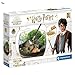 BricoLoco Jeu de terrarium Potter. Jeu d'écosystème miniature Harry.
