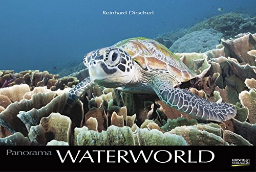Waterworld 2018: Großer Foto-Wandkalender mit unterwasser-Bildern von Fischen. Edler schwarzer Hint Waterworld 2018: Großer Foto-Wandkalender mit unterwasser-Bildern von Fischen. Edler schwarzer Hint