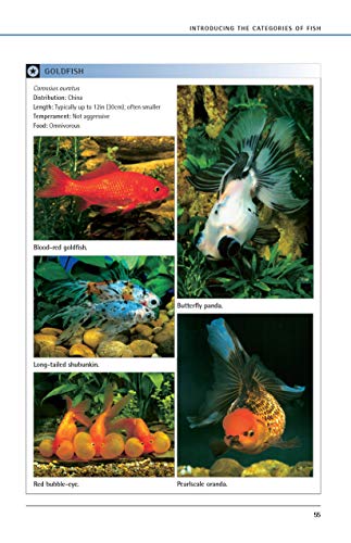 Freshwater Aquariums: Basic Aquarium Setup and Maintenance (CompanionHouse Books) Beginner-Friendly Guide to Keeping Fish, Choosing Varieties, Setting the Tank, Achieving Optimum Water Quality, & More