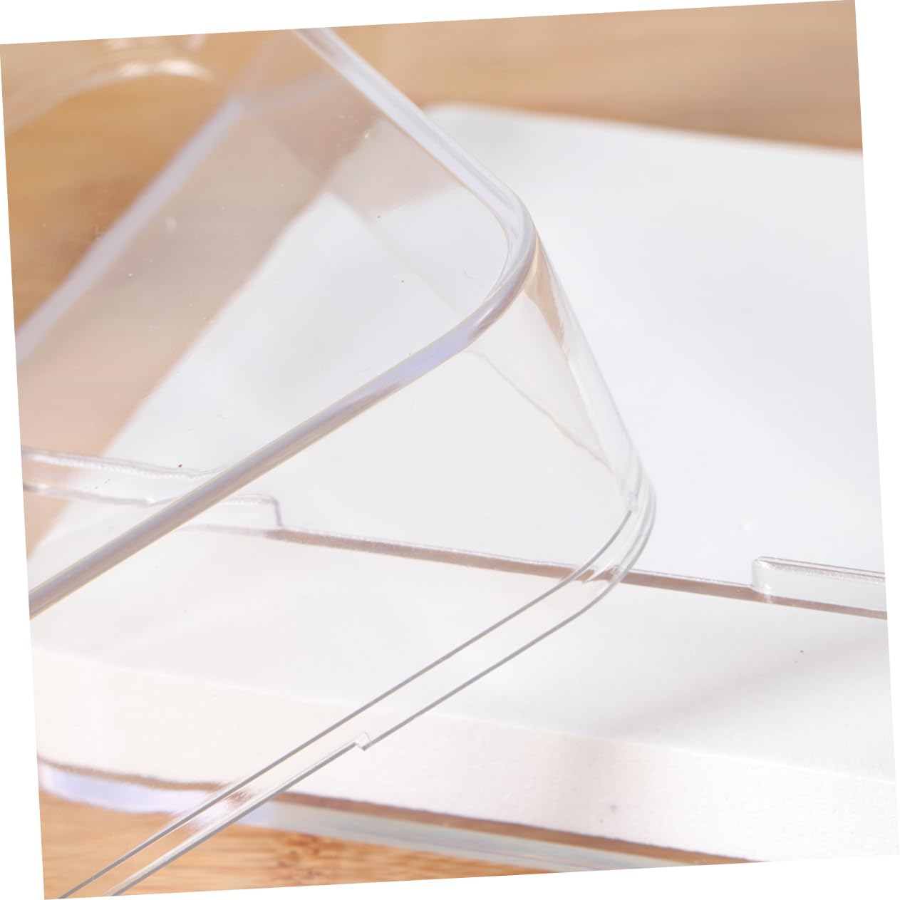 SOLUSTRE Cage À Insectes Transparente Pour Boîte À Spécimens 2 Pièces