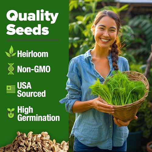 Image of HOME GROWN Dill Seeds 2 Pack (Anethum Graveolens) - 2028 Non-GMO Heirloom Herb Seeds for Planting Indoors or Outdoors, High Germination, Ideal for Herb Gardens, Pots, and Cooking Flavorful Dishes