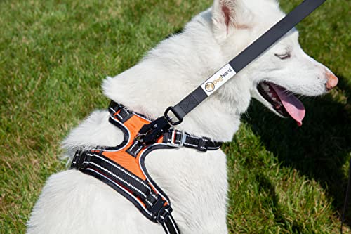 Laisse chien grand qui tire silicone robuste imperméable 1m80 - 6