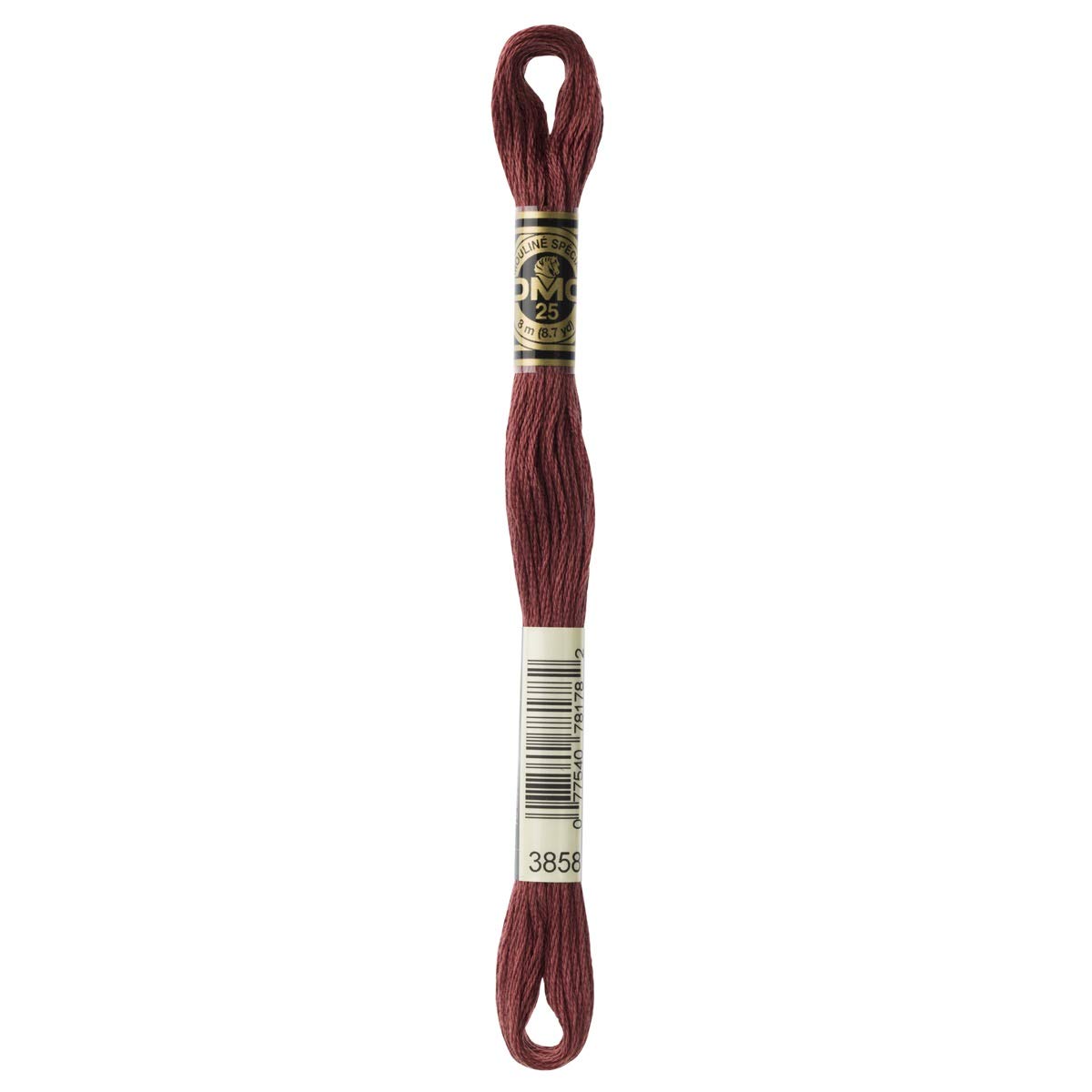 DMC Embroidery Floss Mouline Stranded Cotton Thread for Hand Embroidery and Sewing - Colour No: 3858-2 x 8m Skeins