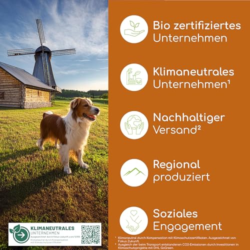 Gelenktabletten für Hunde als Snack | 140 Leckerlis mit Grünlippmuschel & MSM | Gelenkschutz, Knorpelpflege & Knochenaufbau | Natürliche Zutaten unterstützen Gelenke und Knochen