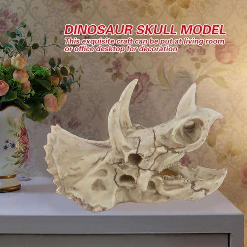 Modelo de cráneo de dinosaurio Triceratops miniatura 4