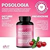 OVF Probiocyst D Mannosio Puro 2000 Mg 120cps Integratori Cistite Donna con D-Mannosio e Mirtillo Rosso Vie Urinarie, Acido Ialuronico, Probiotici e Inulina