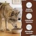 WOLFSBLUT – Wide Plain Senior | Trockenfutter mit natürlichen Zutaten und wertvollen Superfoods für ältere Hunde. Getreidefreies Alleinfutter ohne Zusatzstoffe im Beutel | 4x2kg Pferd