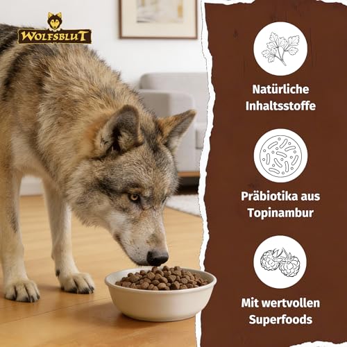 WOLFSBLUT – Wide Plain Senior | Trockenfutter mit natürlichen Zutaten und wertvollen Superfoods für ältere Hunde. Getreidefreies Alleinfutter ohne Zusatzstoffe im Beutel | 4x2kg Pferd