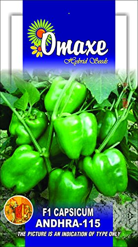 Omaxe Seeds Capsicum Green ANDHRA-115 (B07FF65KCZ) Amazon Price History, Amazon Price Tracker