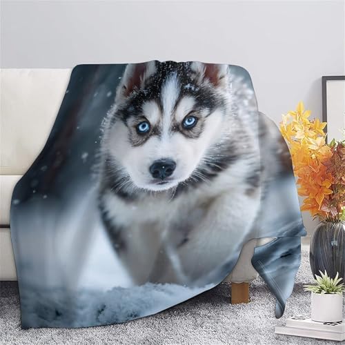 Plaid chiot sibérien 3D de qualité premium, jeté de salon inaltérable - 5