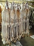 Real Tanned Coyote Hide Fur Pelt Face Tail 56-64' USA (Grade #1)
