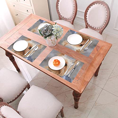 Sets de table lavables pour protéger la salle à manger des taches - 7