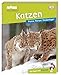 Produktbild memo Wissen entdecken. Katzen: Puma, Perser, Stubentiger. Das Buch mit Poster!