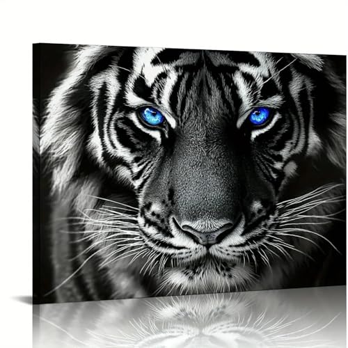 Affiche tigre yeux bleus déco salon design noir et blanc moderne