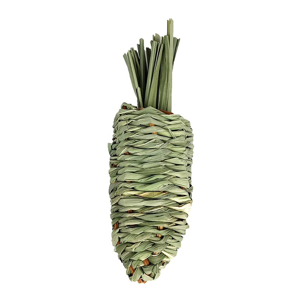 oringnat Chew Toy for Teeth Natural for Hay Treats Grass Carrot for Hamsters Pigs Chewing