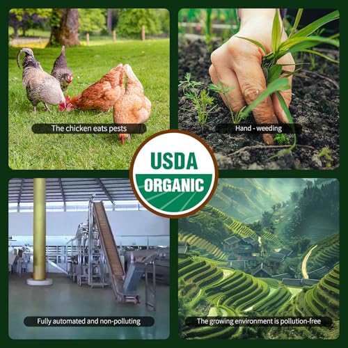 LAPALIDE Organic Puerh Tea Loose Leaf