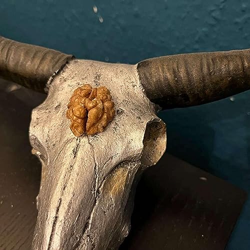 Couverture de Abehjerner i Cockpittet