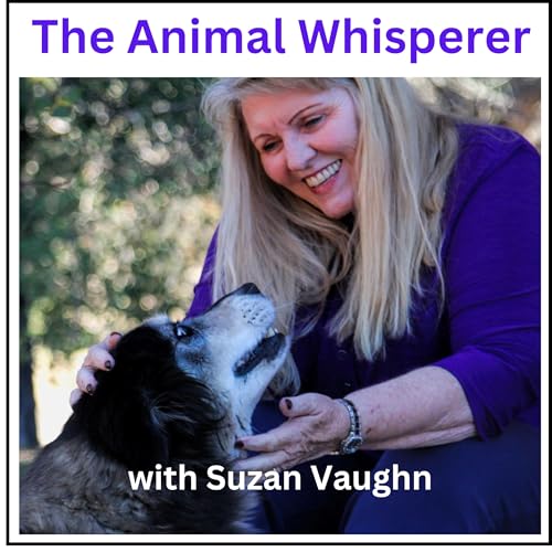 Page de couverture de The Animal Whisperer with Suzan Vaughn: Animal Communication Stories