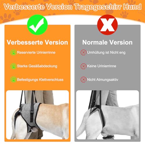 Hundehebegeschirr, Verstellbare Tragegeschirr Hund, Hundegeschirr Grosse Hunde Mit Schwammgriff, Tragbares Hundegeschirr für die Hinterbeine Kranke Oder Operierte Hunde