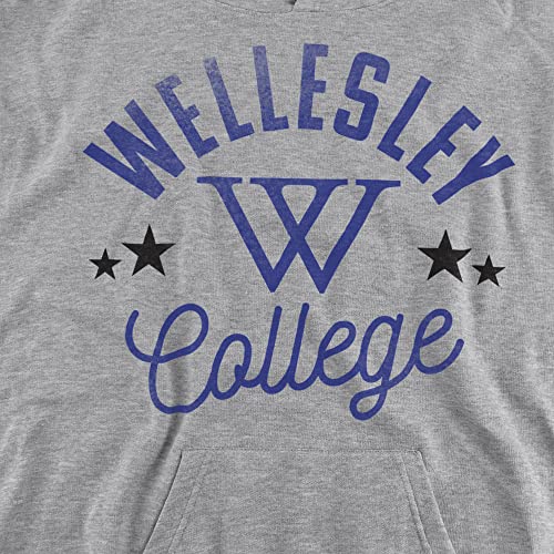 LOGOVISION Wellesley College Official Blue Youth Kids Boy/Girls Pull-Over Hoodie Sweatshirt2
