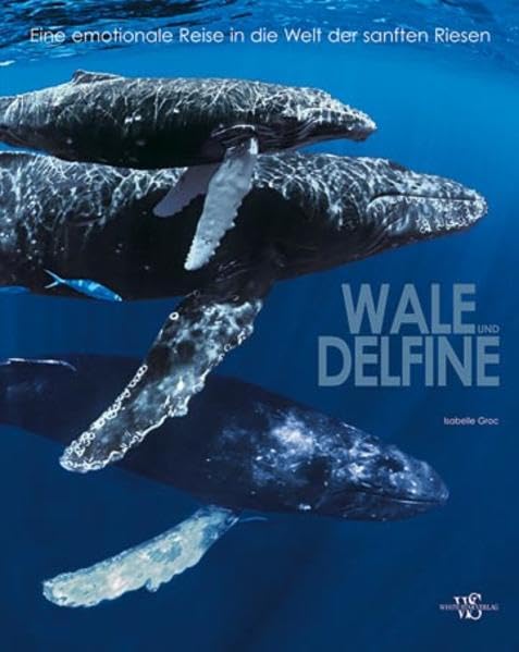 Cover von Wale und Delfine