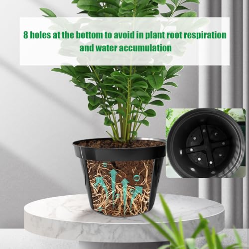 RooTrimmer 10 Inch Plastic Nursery Pots for Plants 10 Pack Plant Pots with Drainage Holes 2 Gallon Nursery Pots Perfect for Indoor Outdoor Plants Such as Herbs, Strwaberrys and Flowers, Black by RooTrimmer - Image 2
