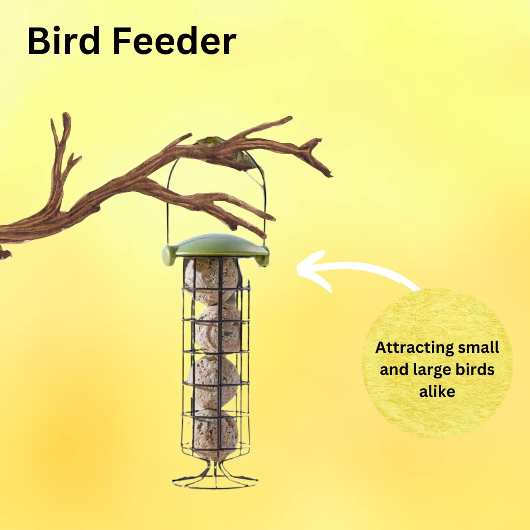 Mangiatoia Metallo Per Uccelli Da Giardino Sospesa Mangiatoia Per - Foto 10