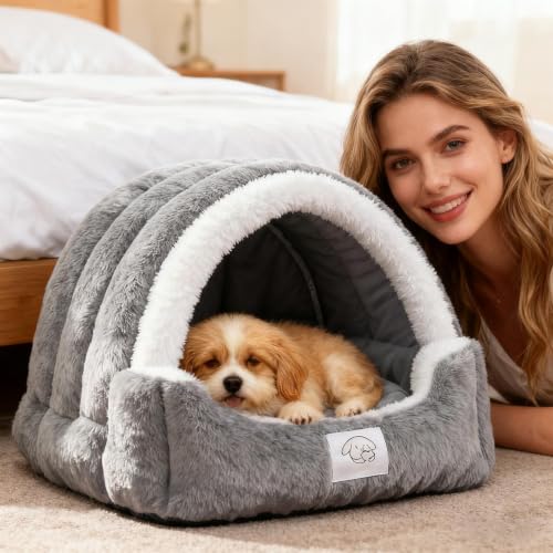 Caverne maison pour chat avec coussin amovible lavable pour le salon