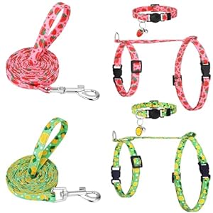 2 Pack Cat Harness and Leash, Escape Proof Adjustable Kitten Harness with Leash Collar, Lightweight Soft and Comfortable, for Small Medium Cat Safe Walking and Travel