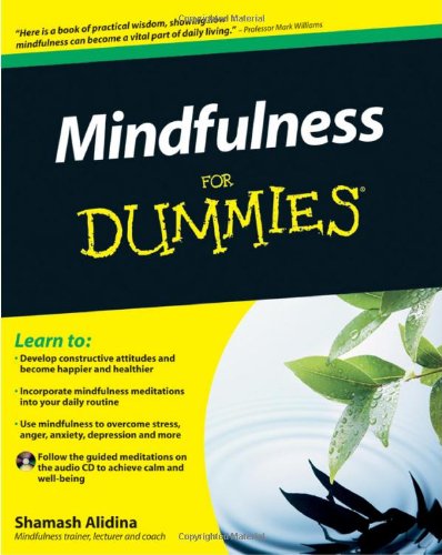 Mindfulness For Dummies (Book + CD)