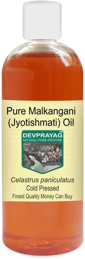 Devprayag Pure Malkangani (Malkangni/Jyotishmati) Oil (Celastrus paniculatus) Natural Therapeutic Grade Cold Pressed 200ml
