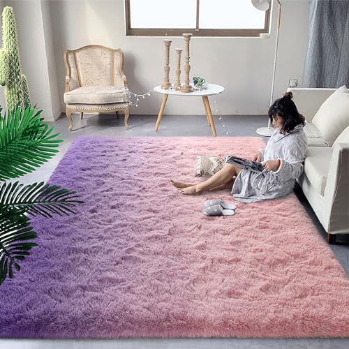 DweIke Luxury Fluffy Kids Rugs for Living Room Bedroom, 4x6