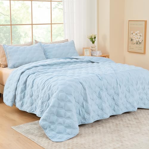 Image of Litanika Queen Quilt Bedding Set, Light Blue Summer Lightweight Soft Comforter Bedspreads & Coverlets, Boho Farmhouse Bedding Cover Bed Decor All Season, 3 Pieces (1 Quilt, 2 Pillowcases)
