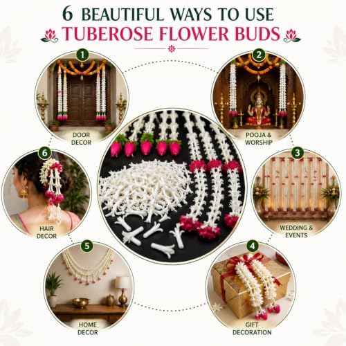Image of Tia Crafts Artificial Rajnigandha Tuberose Flowers, 500 Pieces, 3 cm White Loose Flower Buds for Garland Making, Pooja, Wedding, Temple, Toran, Veni, Gajra and DIY Decoration | 500 pcs Small - 3 cm