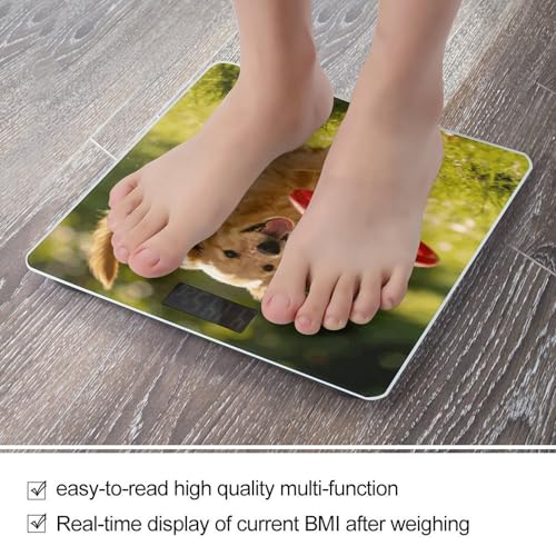 Báscula digital para baño con pantalla LED clara miniatura 5