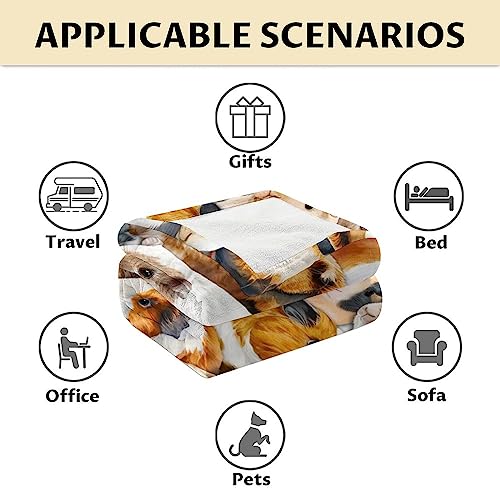 Guinea Pig Blanket Gifts - 40x50 Inches Cute Throw for Girls & Boys - Brown Soft Fuzzy Blankets for Bed, Couch & Living Room