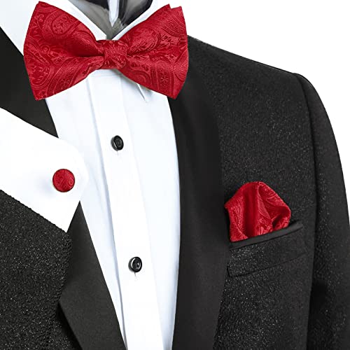 Alizeal Mens 5Pcs Paisley Suit Vest Classic Jacquard Button-Down Waistcoat Set, Red-Xl #TOP2